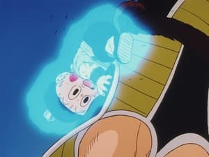 Poster for The Power of Nappa