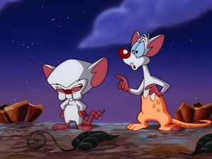 Poster for A Pinky And The Brain Halloween