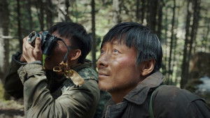 Poster for Green Car