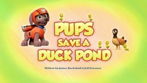 Poster for Pups Save a Duck Pond