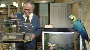 Poster for Fish With Everything