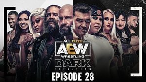 Poster for AEW Dark: Elevation #28