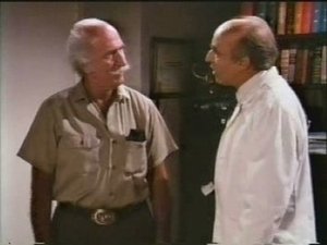 Poster for Realities