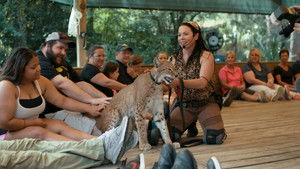 Poster for Cult of Personality