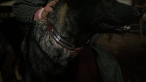 Poster for Bringing to Light