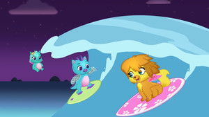 Poster for Surf n' Shine