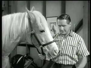 Poster for Never Ride Horses