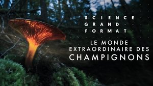 Poster for Episode 6