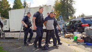 Poster for Crime After Crime