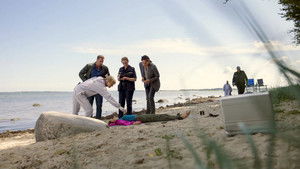 Poster for Episode 11