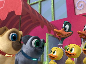 Poster for Design-a-dog Poster for Design-a-dog