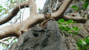 Poster for Episode 2