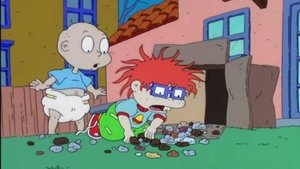 Poster for Chuckie Collects