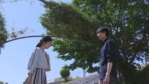 Poster for For Friendship. Poster for For Friendship.