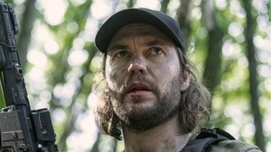 Poster for "THE WOLF YOU FEED"