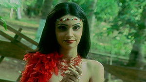 Poster for Vikraal Enters a Magical World