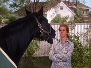 Poster for The Horse's Mouth