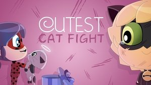 Poster for Cutest Cat Fight Poster for Cutest Cat Fight