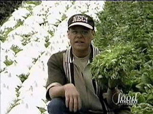 Poster for Salad Daze