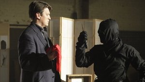 Poster for The Way of the Ninja
