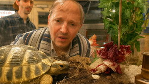 Poster for Episode 4