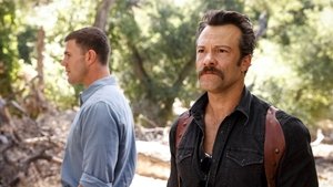 Poster for The Funky Bunch