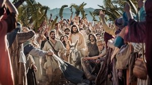 Poster for Entry Poster for Entry