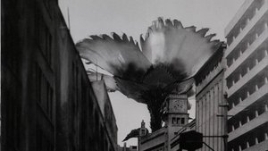 Poster for Mammoth Flower