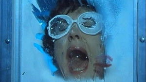 Poster for Sauce for the Goose