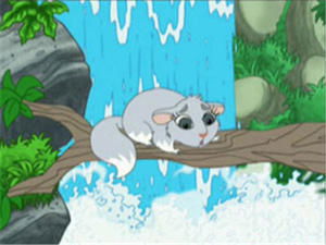 Poster for Chinta the Baby Chinchilla