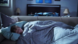 Poster for Greenbottle Blue Tarantula