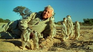 Poster for Attenborough's Life Stories: Understanding the Natural World