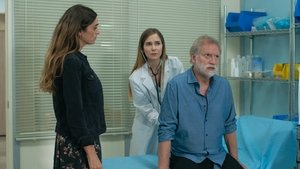 Poster for Something Similar to Happiness