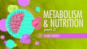 Poster for Metabolism & Nutrition, Part 2