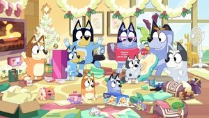 Poster for Christmas Swim