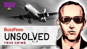 Poster for The Strange Disappearance of D.B. Cooper