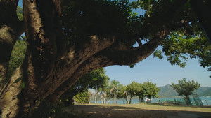 Poster for Episode 32