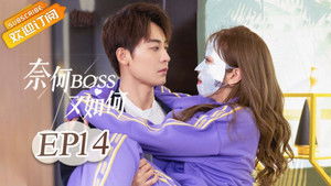 Poster for Episode 14