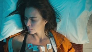 Poster for Bye, Bye, Gringos