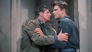 Poster for Escape to Ponderosa