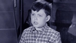 Poster for Beaver's Hero