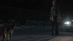 Poster for Cover Girls