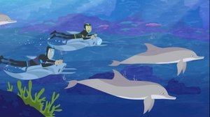 Poster for Speaking Dolphinese