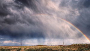 Poster for Wild Weather Special