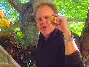 Poster for Sometimes You Feel Like A Nut