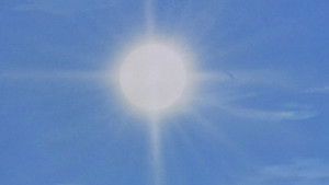 Poster for I Want to Catch the Sun