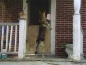 Poster for Mail Order Bride