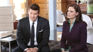 Poster for The Partners in the Divorce