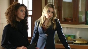 Poster for Porn Free