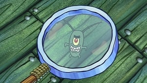 Poster for Plankton!